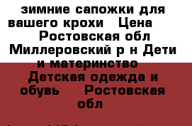 зимние сапожки для вашего крохи › Цена ­ 800 - Ростовская обл., Миллеровский р-н Дети и материнство » Детская одежда и обувь   . Ростовская обл.